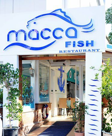 Macca Fish